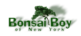 Logo for Bonsai Boy of New York