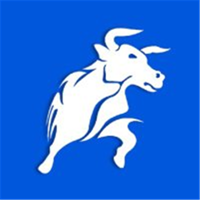 Logo for BlackBull Partners