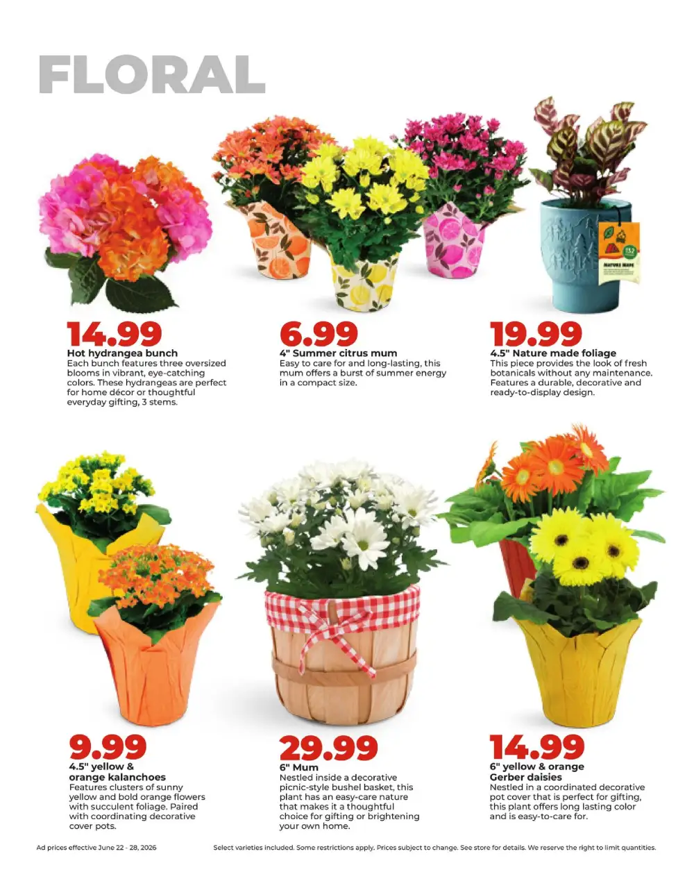 Weekly Ad Layout